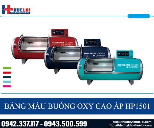 Buồng oxy cao áp hỗ trợ hồi phục sau tai biến