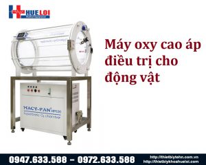 buong-oxy-cao-ap (1)