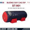 Buồng oxy cao áp hỗ trợ trẻ hóa da thẩm mỹ